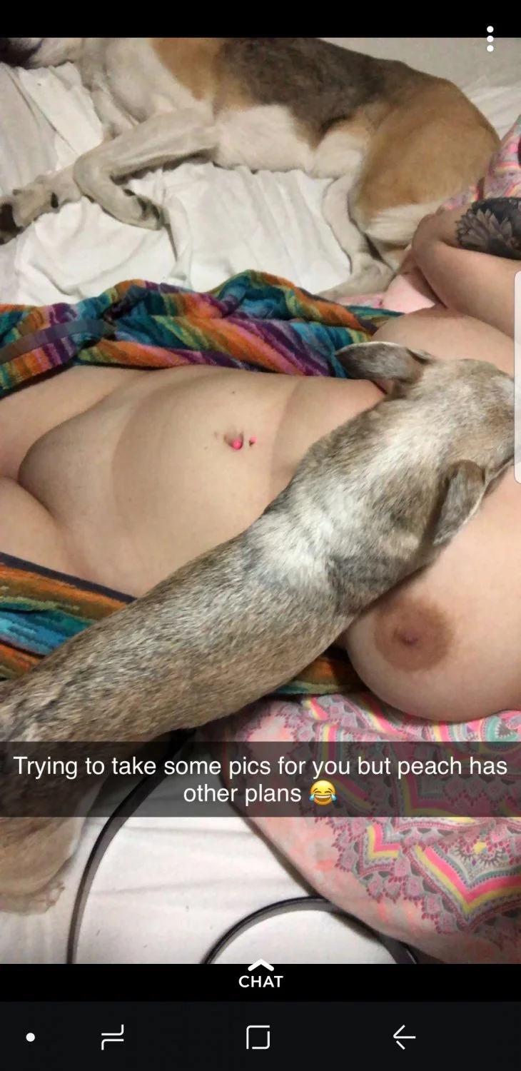 Request Line image 49