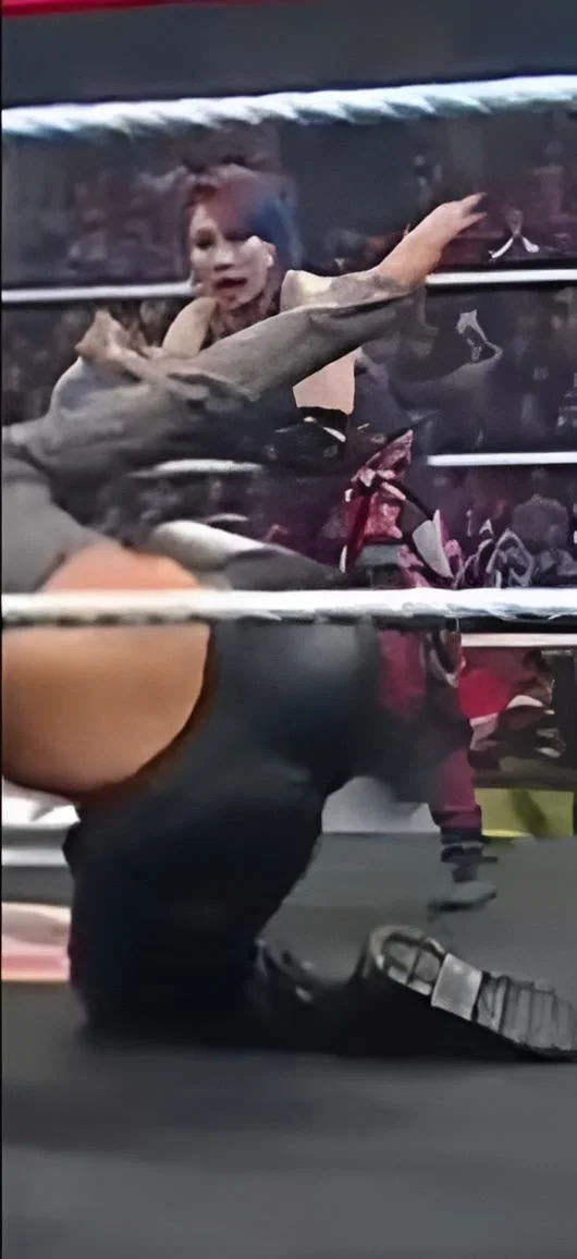 Bayley image 7