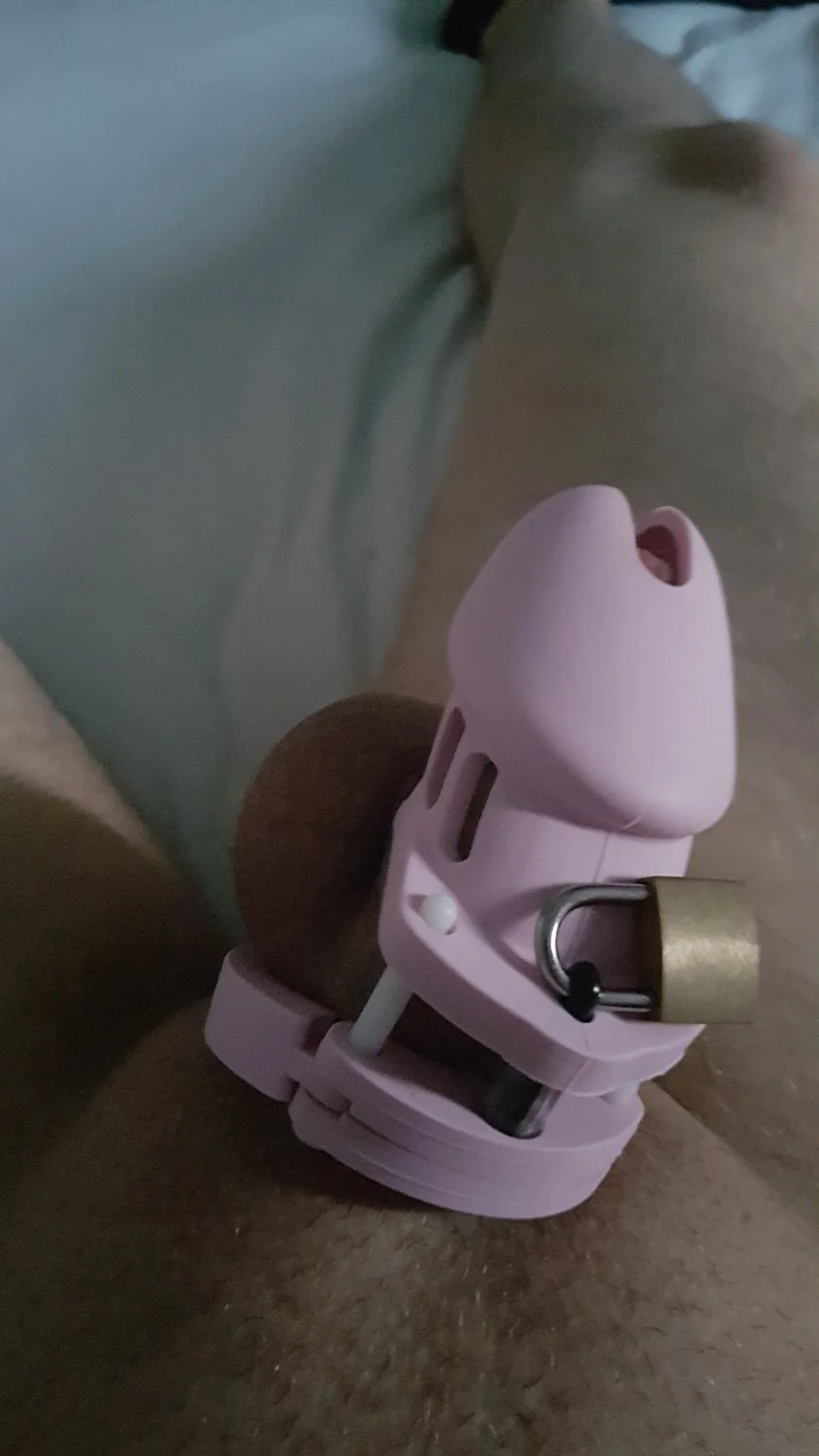 My chastity cages. Mistress ladys be mean to me please. Thank you. Tell what to do image 12