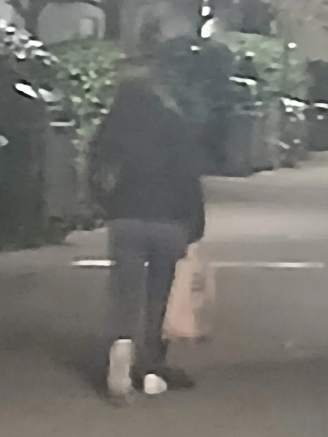 Fat ass German bitch 🇩🇪❤️ image 3