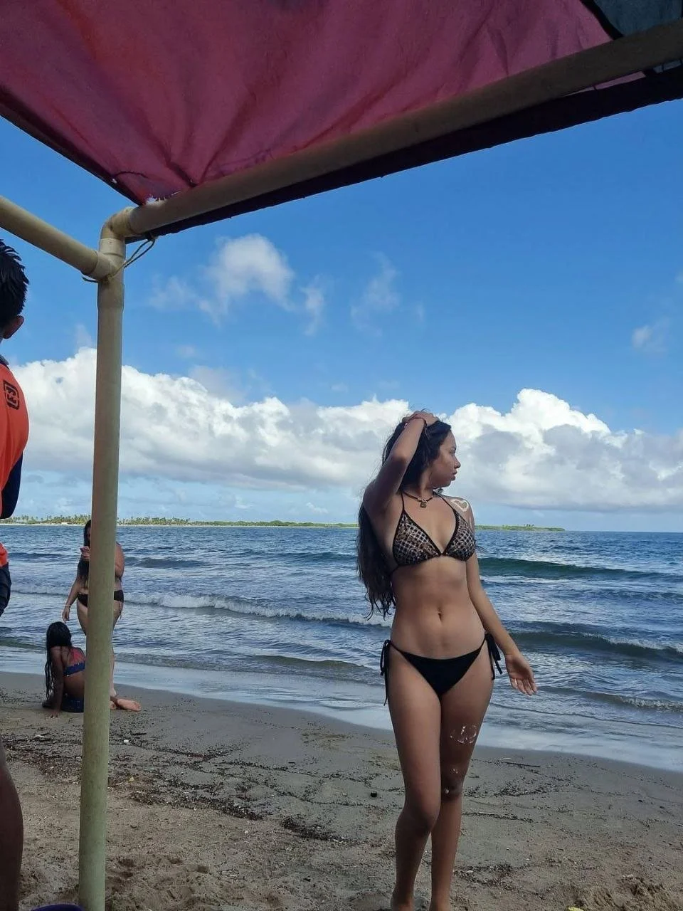 María, zorra exhibida por un amigo image 10