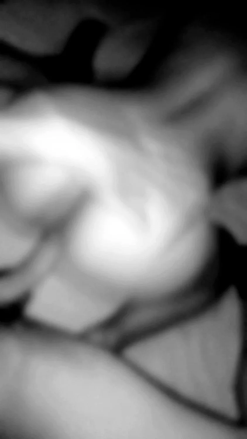 Screenshot_20250313-105339_Photos main image