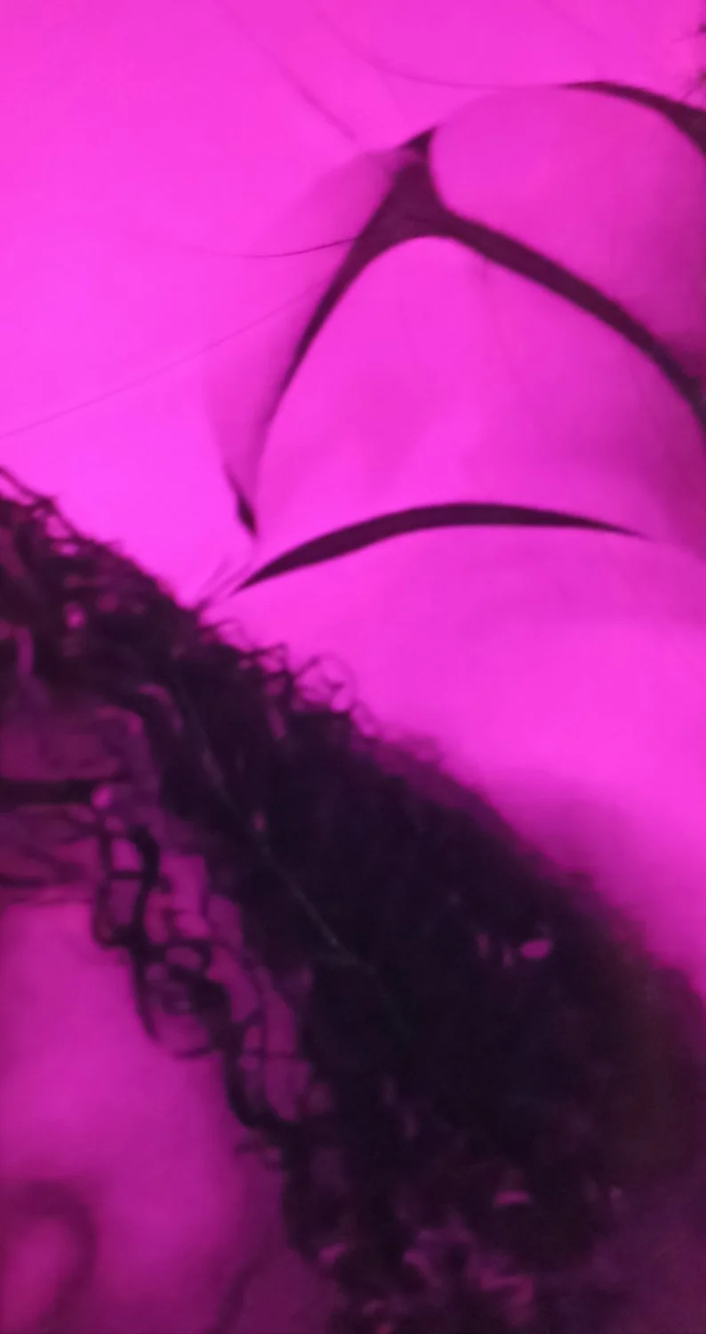 TRANS DELICIA 🥵🏳️‍⚧️ image 3