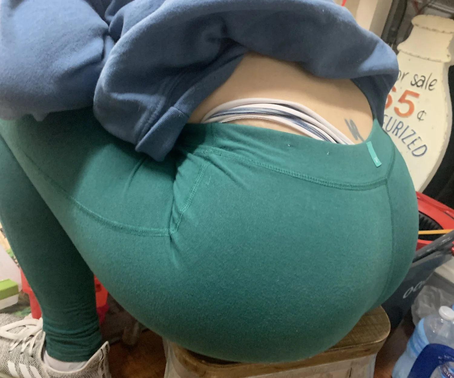 Whaletail wife image 14