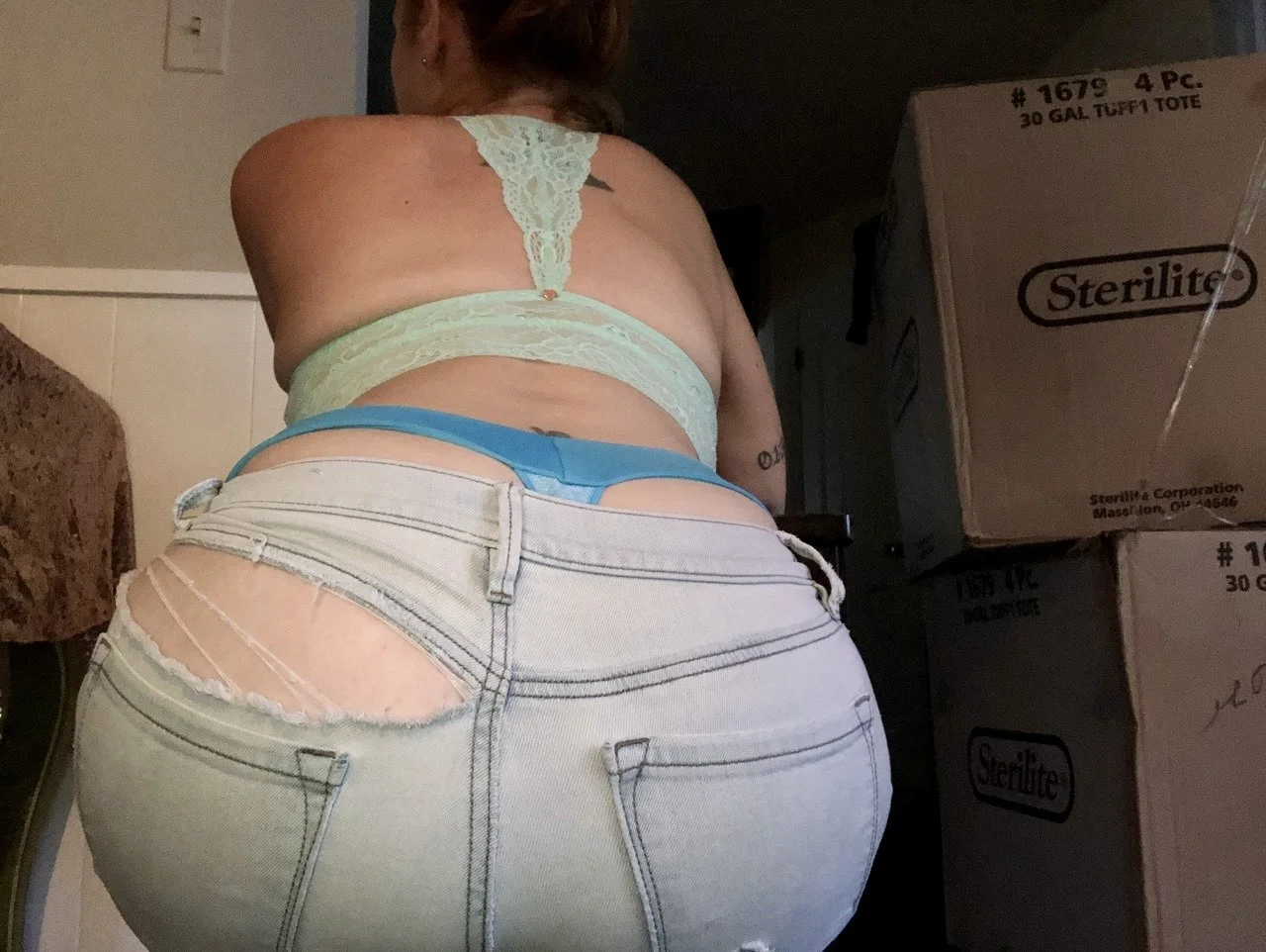 Whaletail wife image 28