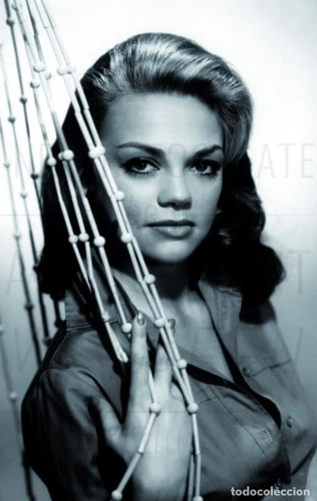Beautiful Dyan Cannon image 15