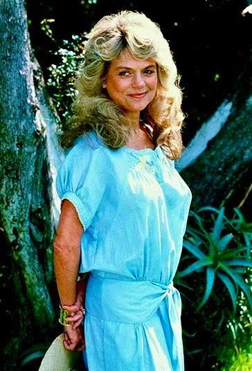 Beautiful Dyan Cannon image 24