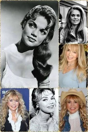 Beautiful Dyan Cannon image 32