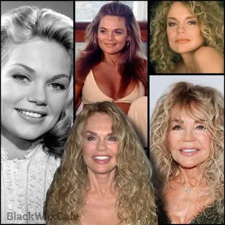 Beautiful Dyan Cannon image 34