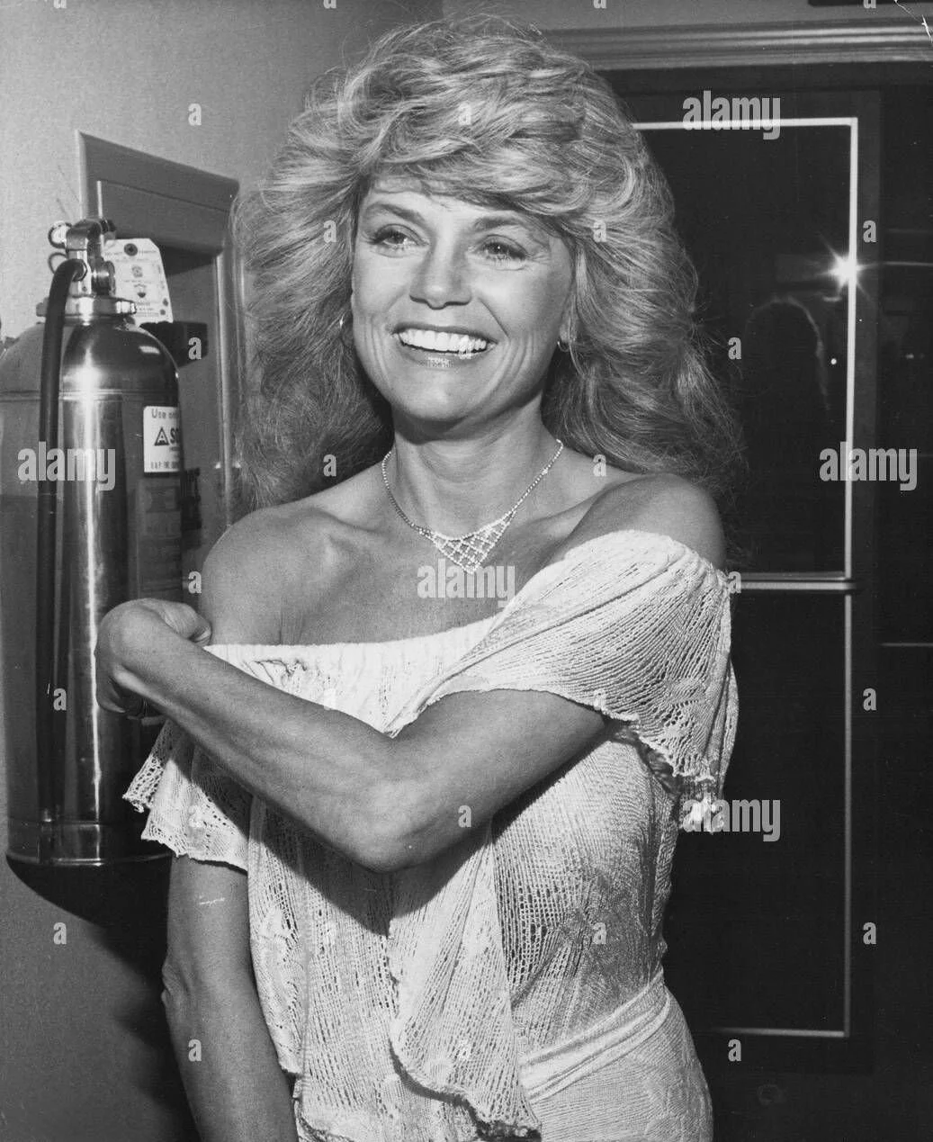 Beautiful Dyan Cannon image 45