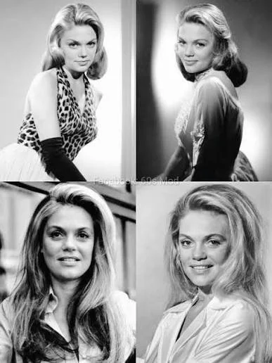Beautiful Dyan Cannon image 5