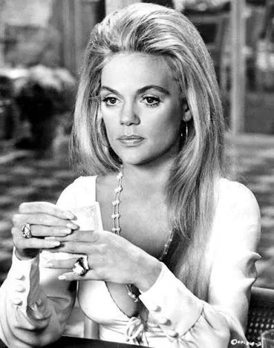 Beautiful Dyan Cannon image 9
