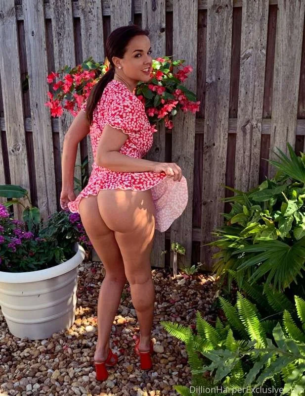 DILLION HARPER ASS HOT PUSSY image 13