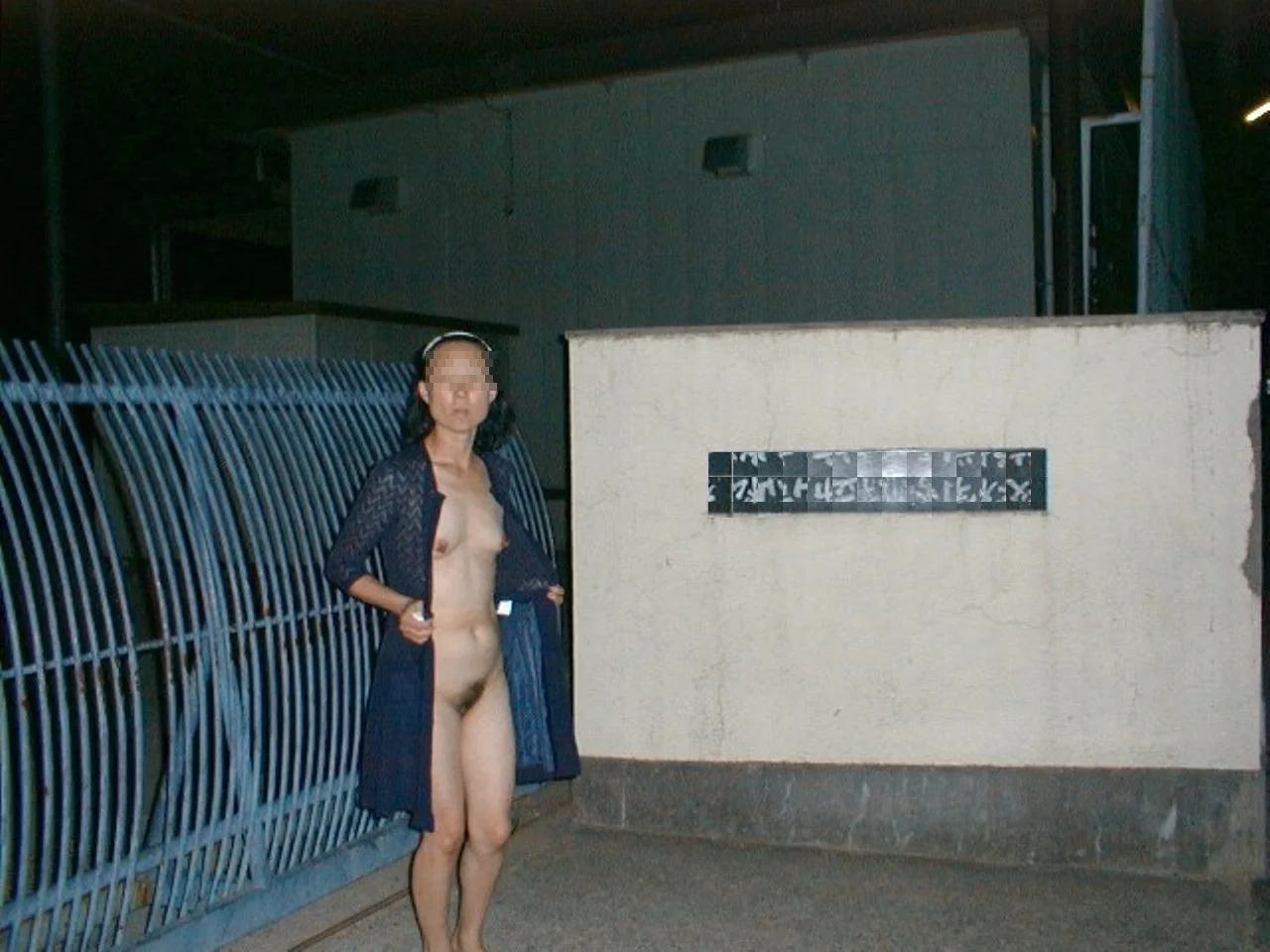 痴呆ババアのご近所徘徊➔近所迷惑の代表(笑) image 21