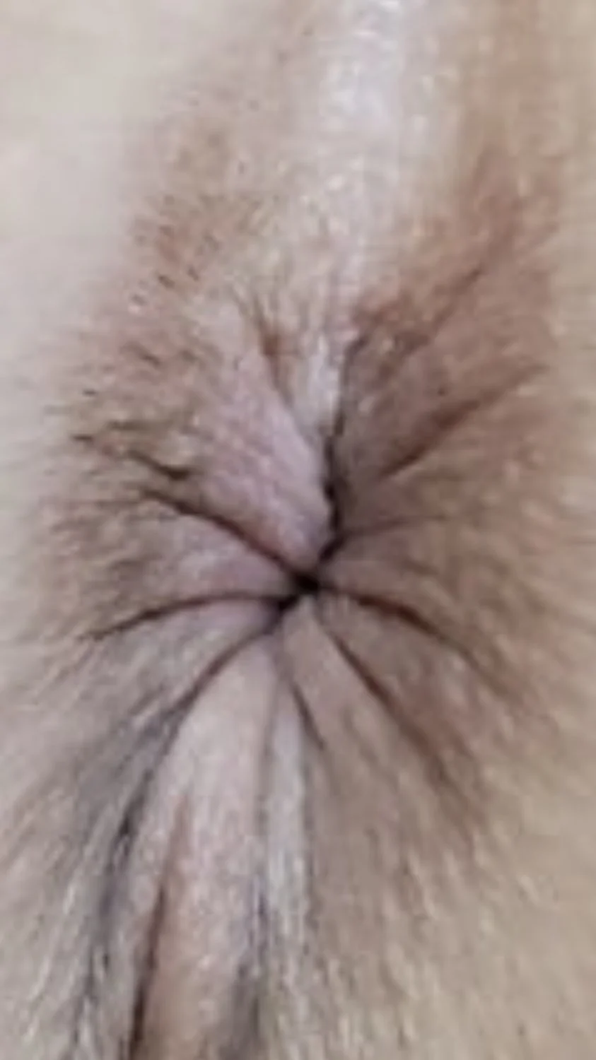 The perfect asshole on this shy soccer Mom MILF whore. Water tight balloon knot on this mom bod🔥🔥 image 8