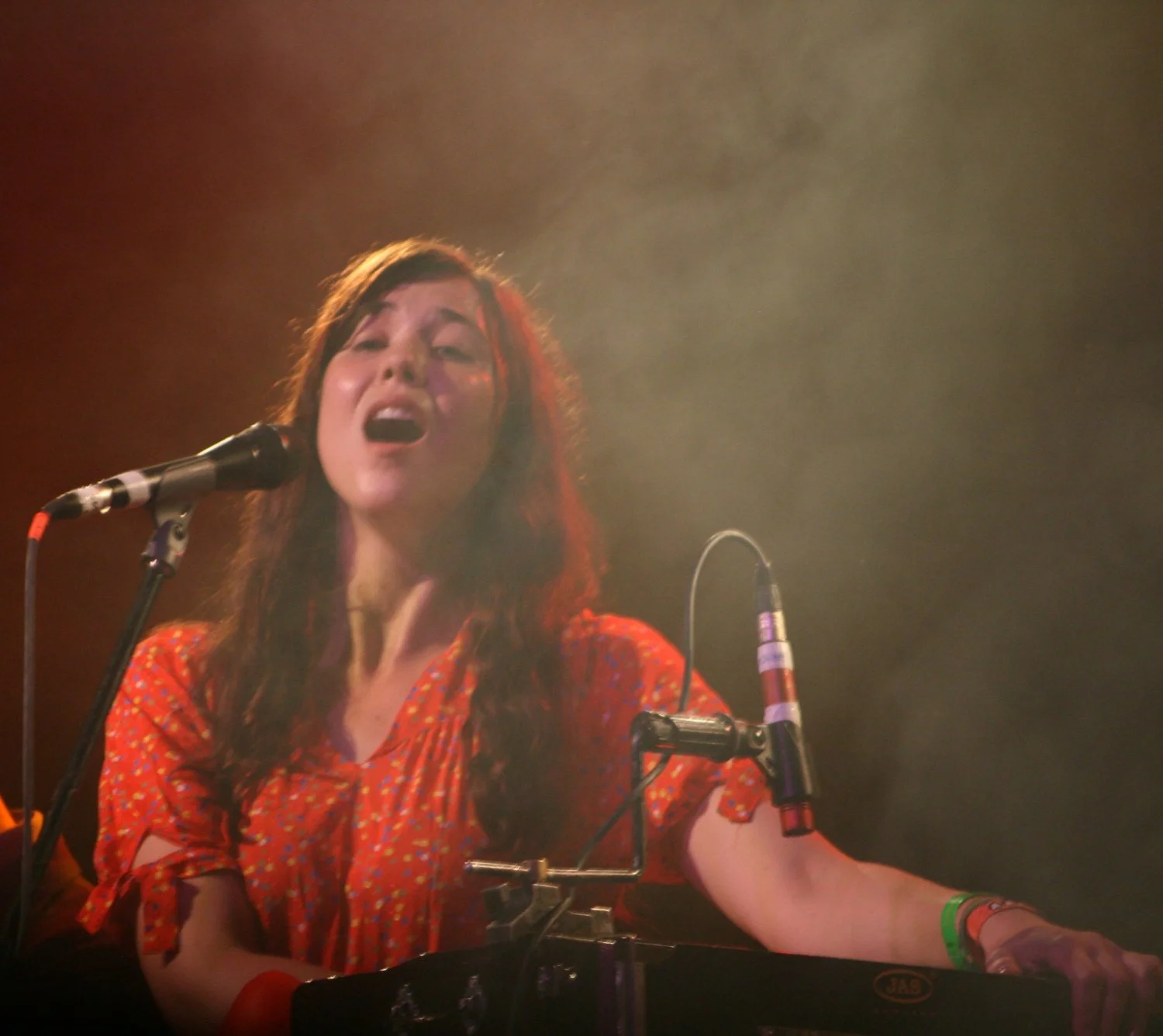 Lisa Hannigan image 31