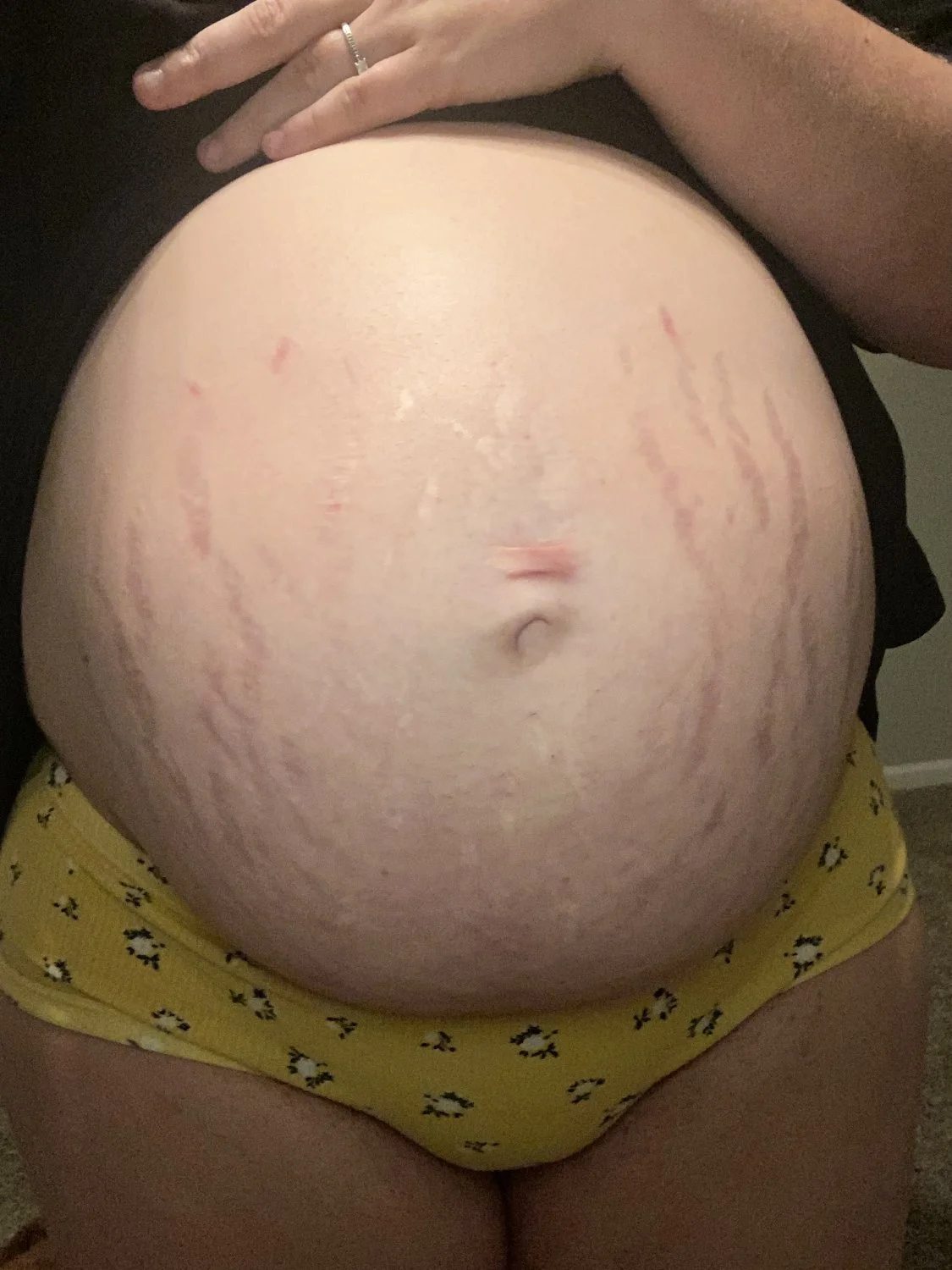 Some pregnancy pics image 7