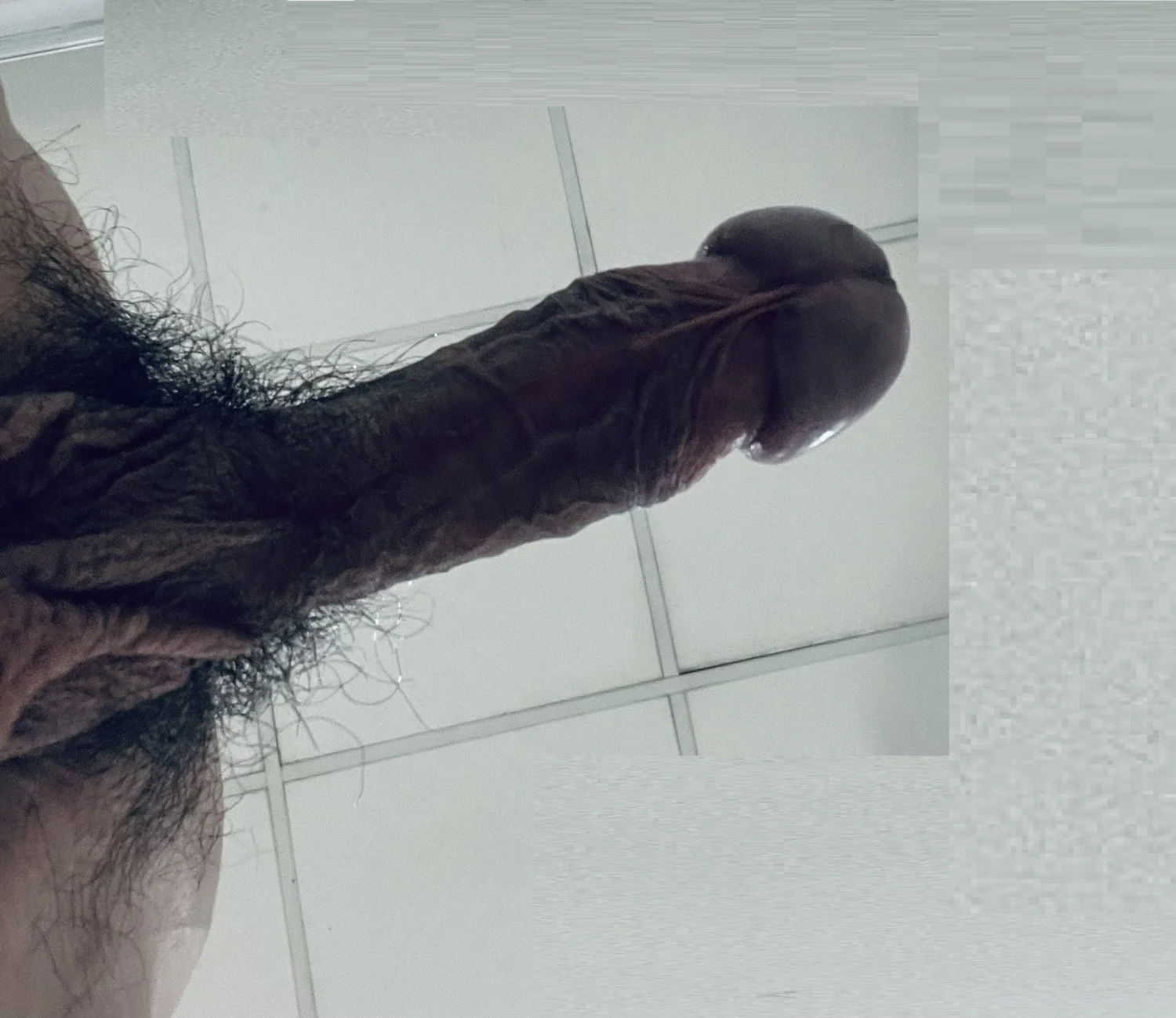 1 hid tiny cock image 22