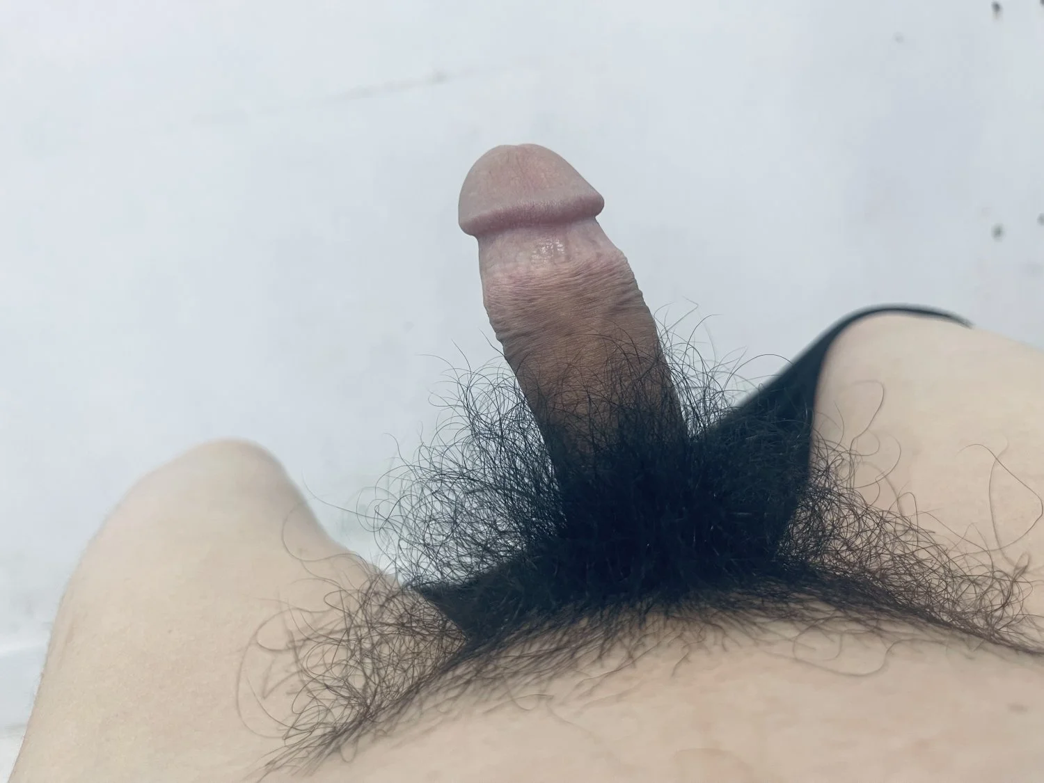 1 hid tiny cock image 29
