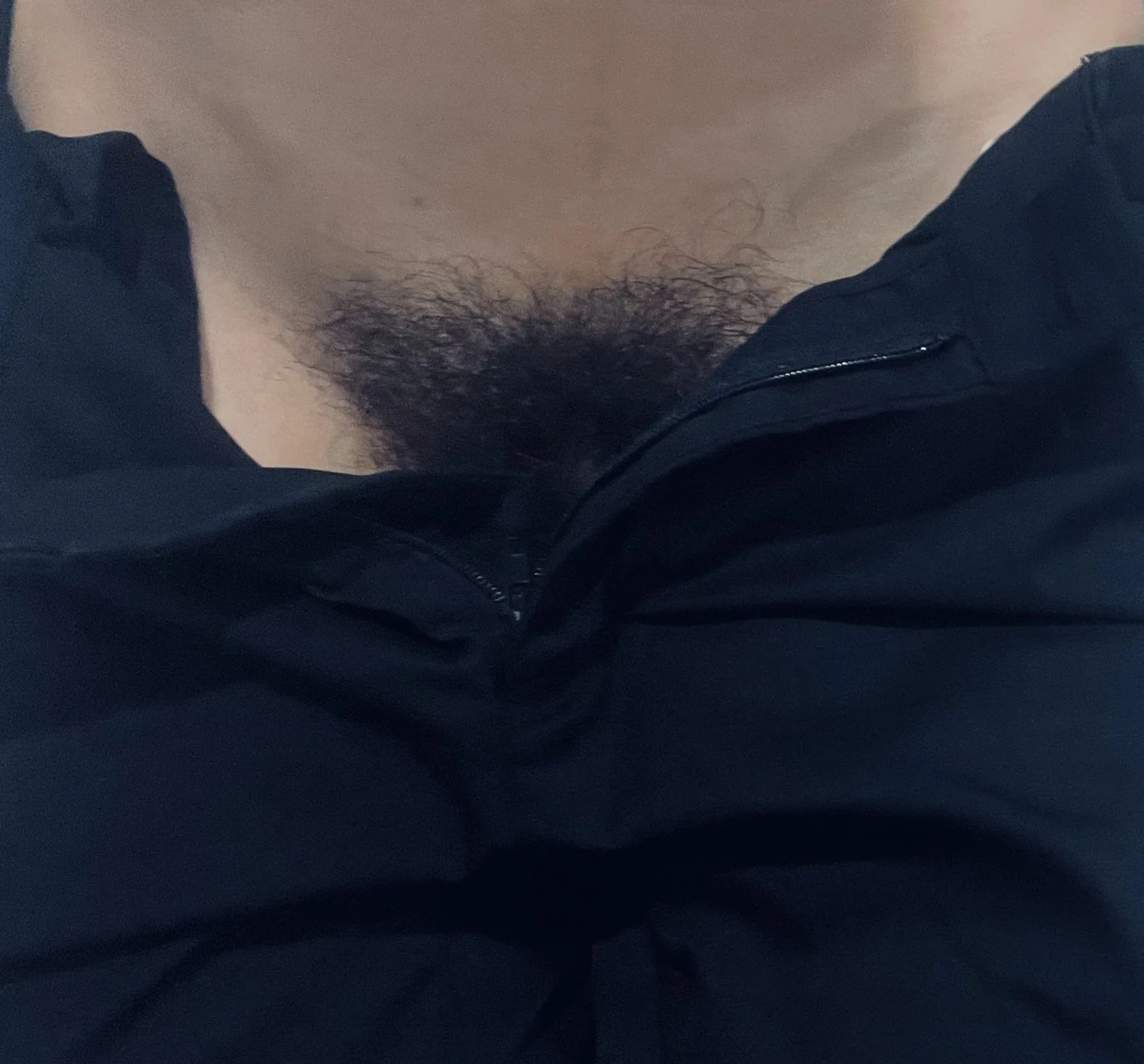 1 hid tiny cock image 9