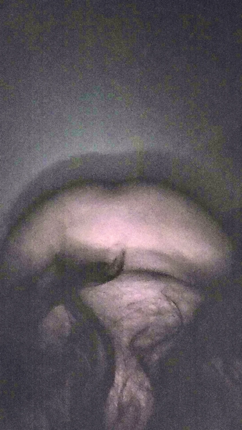 ugly fat whore mom Stephanie Reyes image 7