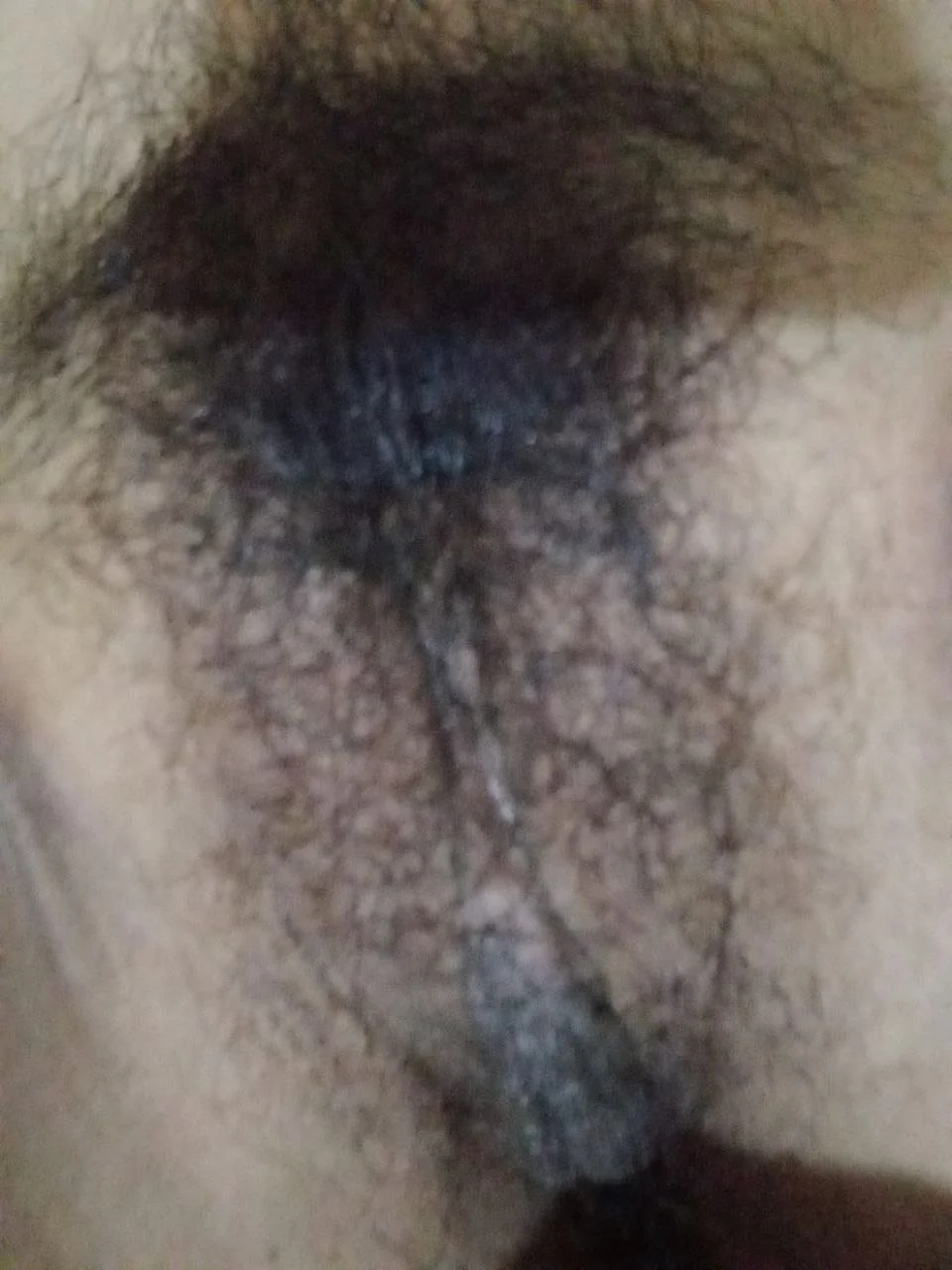 Claudia, peruana bisexual ninfómana. image 13