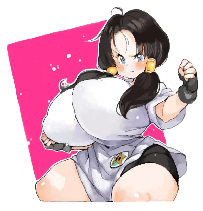 Videl 3/25 image 18