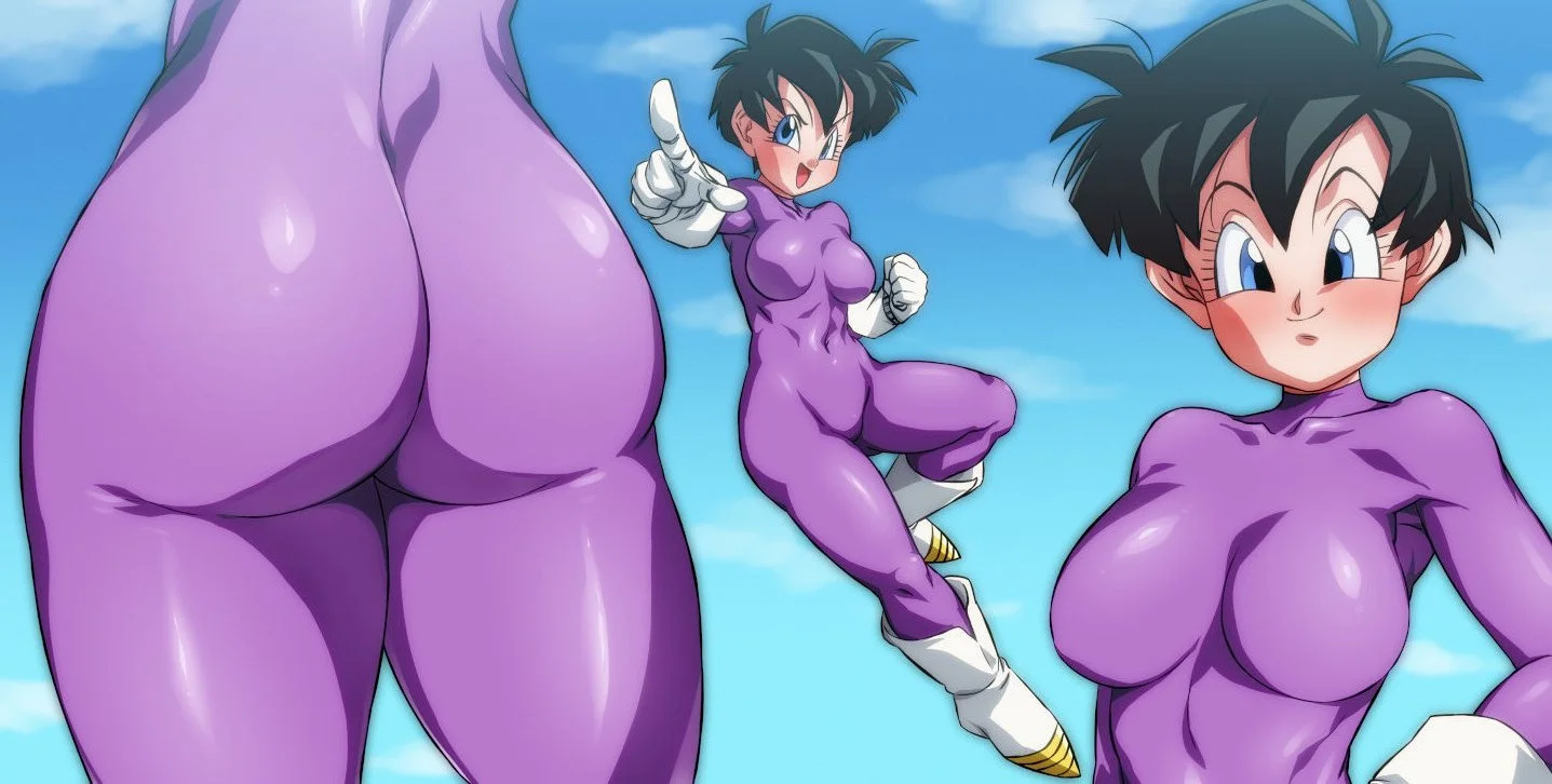 Videl 3/25 image 21