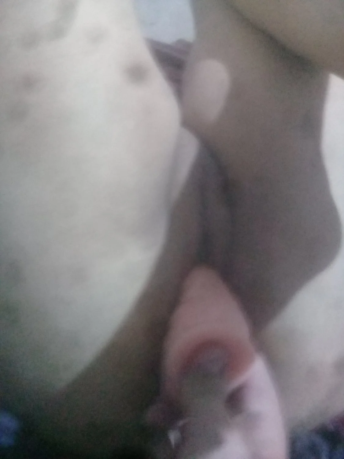 Cornudo muestra como masturba a su puta con un dildo image 5