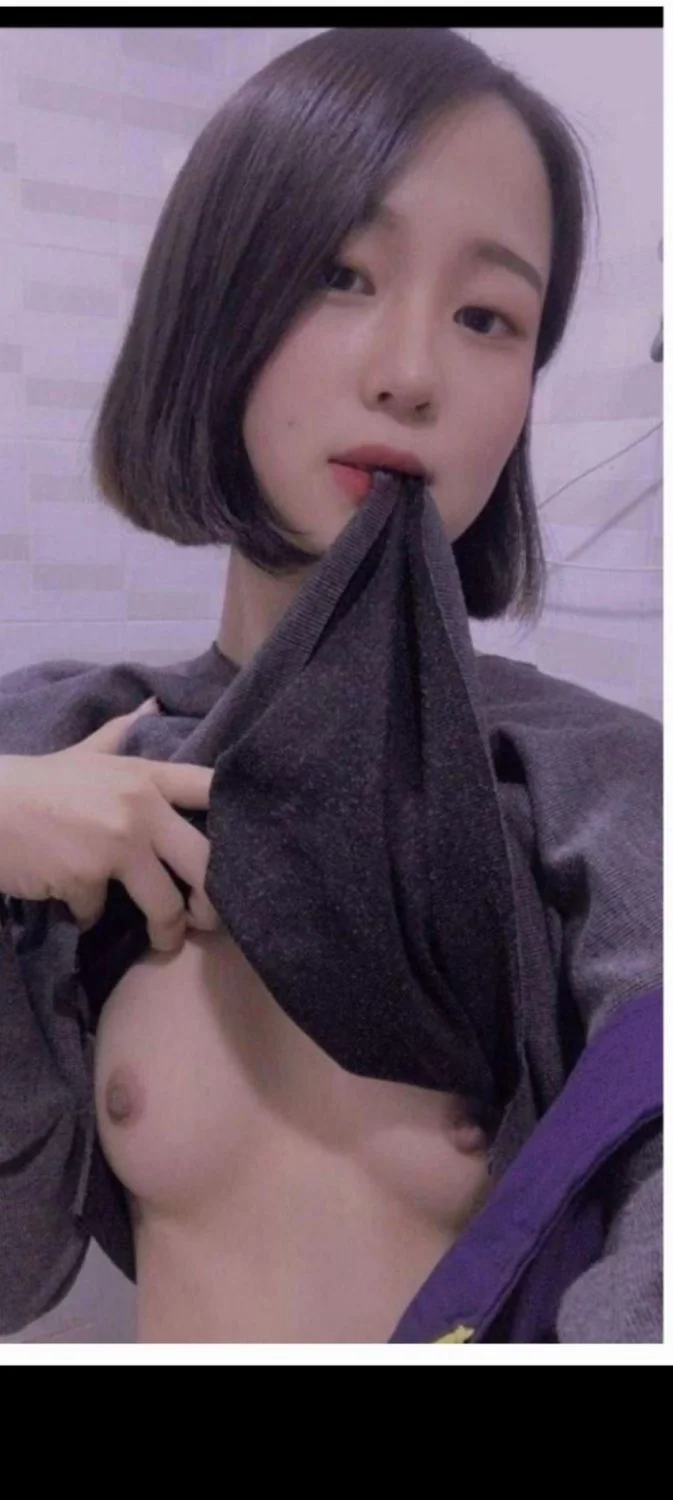 Cute Chinese shorthair image 7
