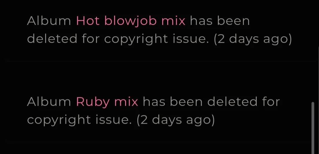 Download my videos while you can there always taken them down image 3