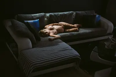 Liz's giant milkers pregnant boudoir cover image