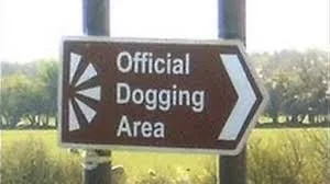 🐾Dogging Chubby Chick🐶 main image