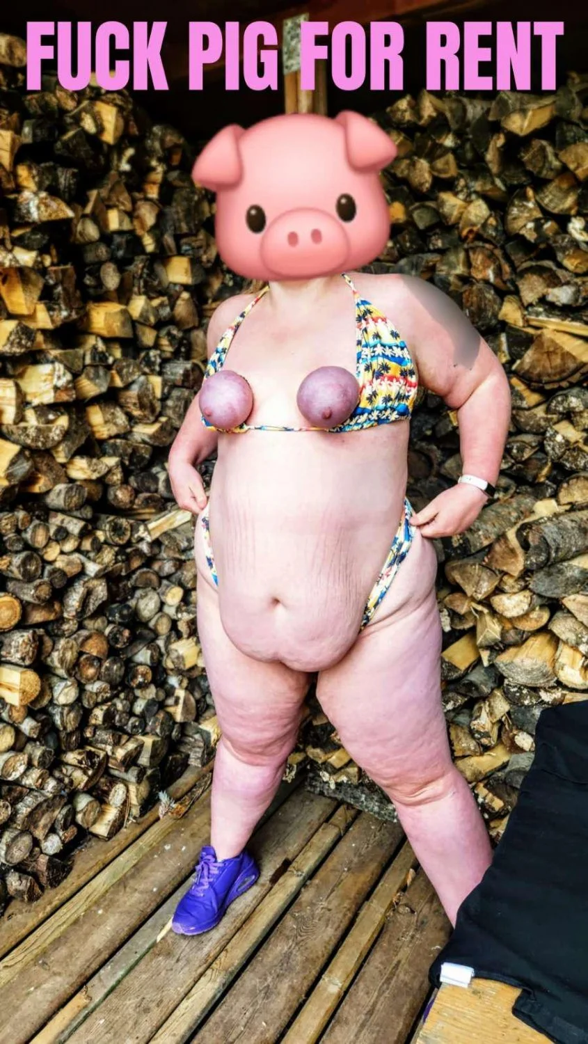 Fat Cunt with Tiny Tied Tits - PigDumpster image 12