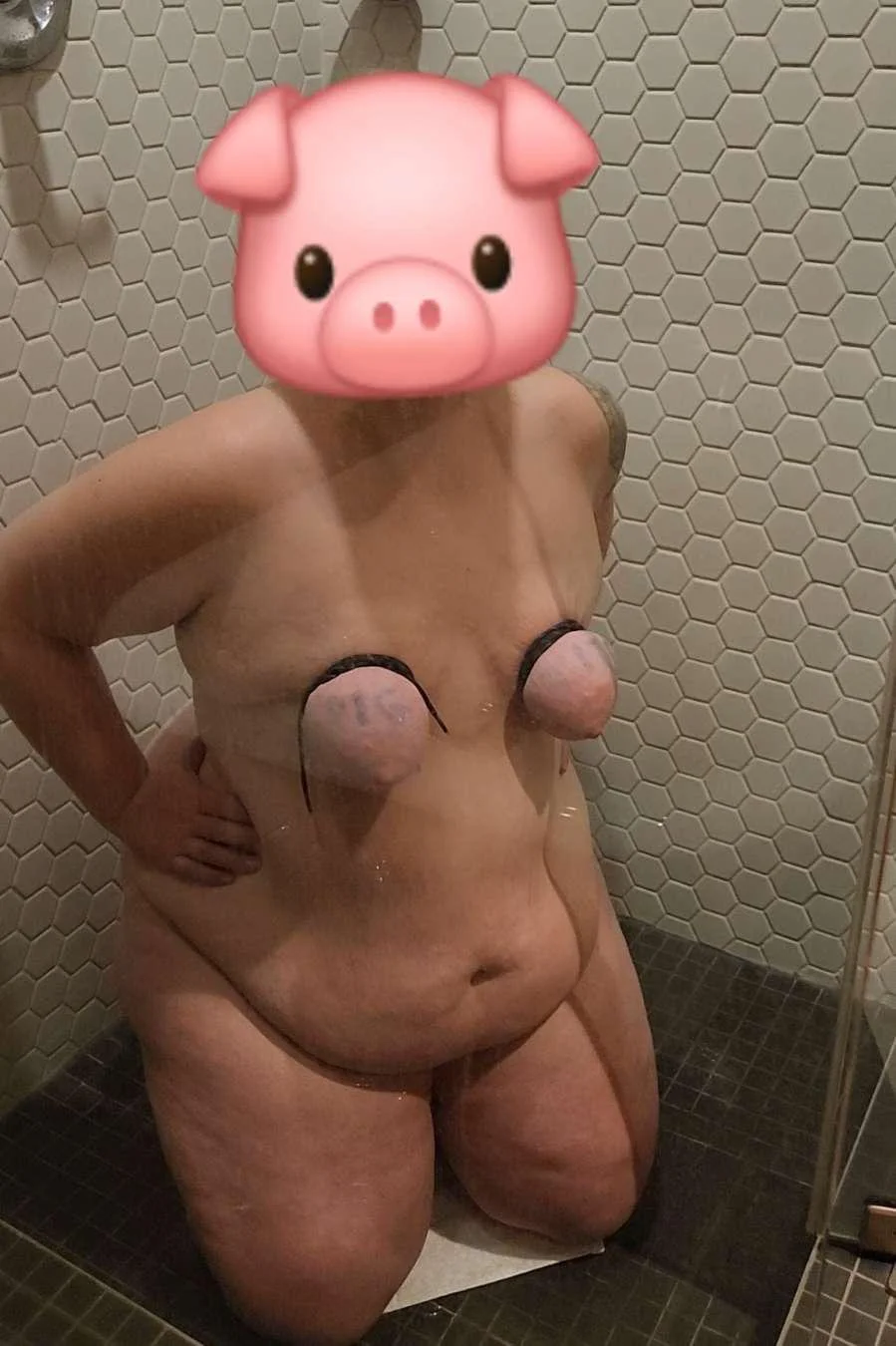 Fat Cunt with Tiny Tied Tits - PigDumpster image 4