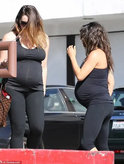 Pregnant cover image