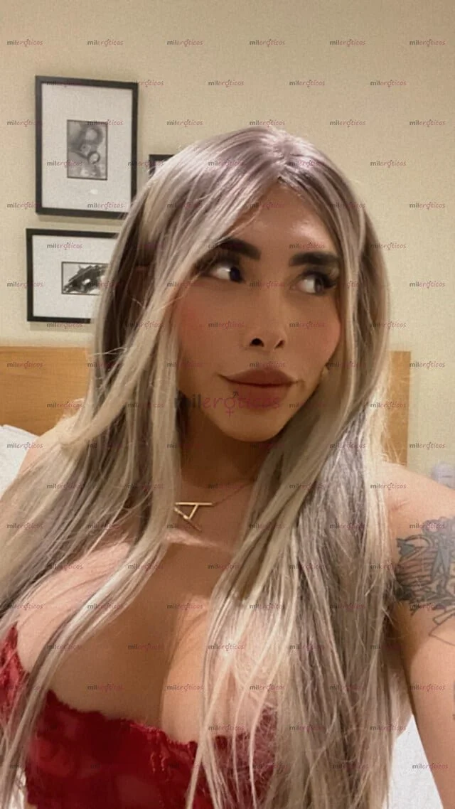 Transexuales mexicanas scort parte 11 image 11