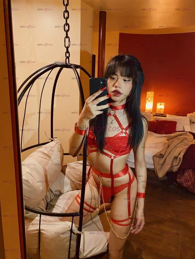 Transexuales mexicanas scort parte 11 image 16