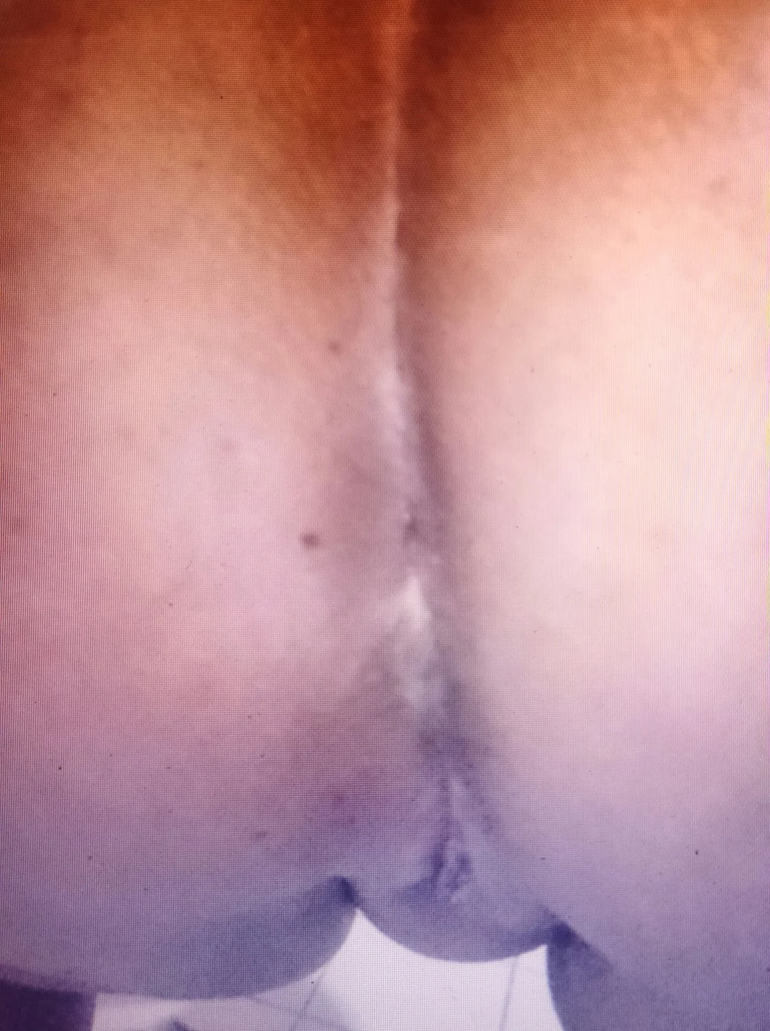 Minhas garotas image 18