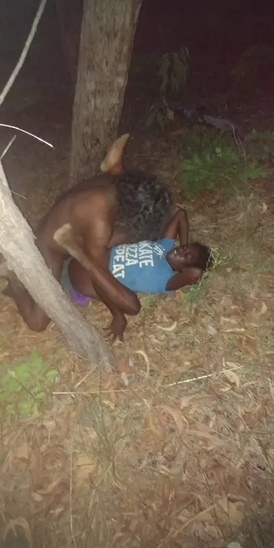 2 coons in my backyard last night cover image
