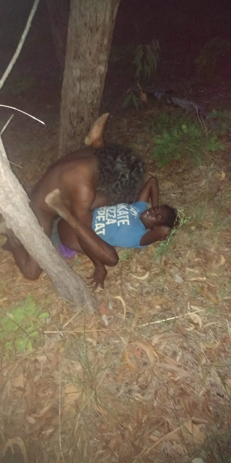 2 coons in my backyard last night main image