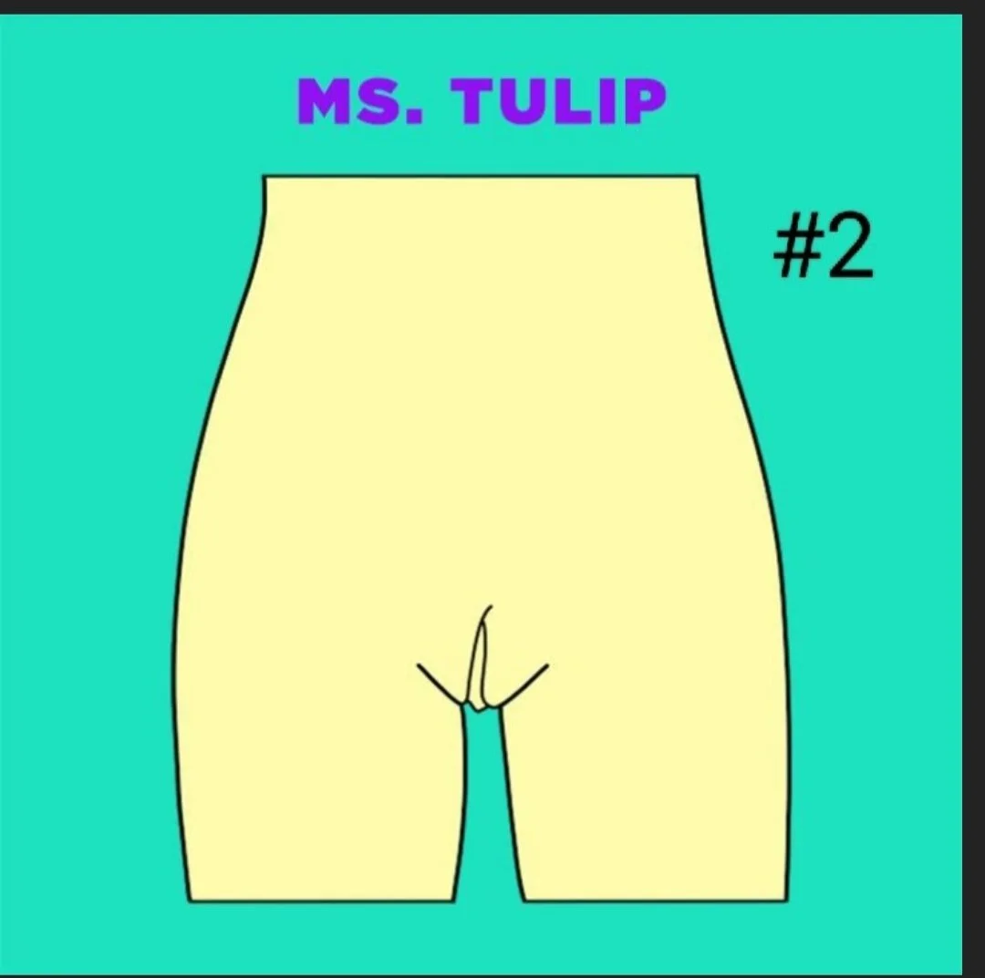 Apparently, there are five types of vaginas... Which one is yours? 🤔 image 2