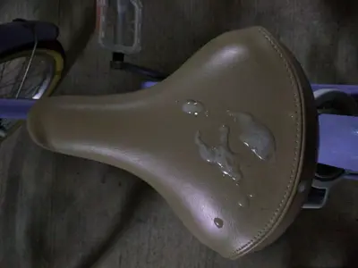 Cum on a bicycle saddle cover image