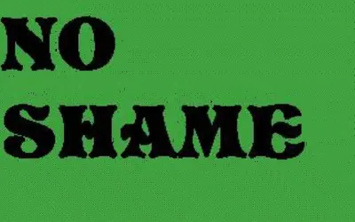 No public shame #29 cover image