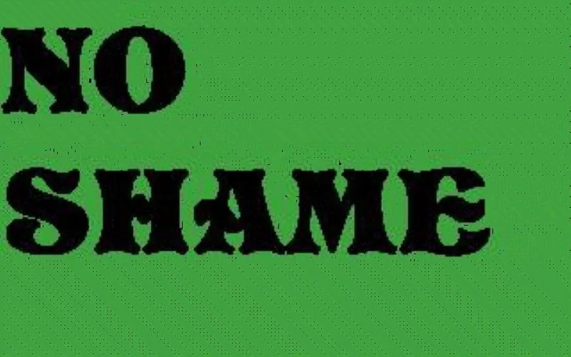 No public shame #29 main image