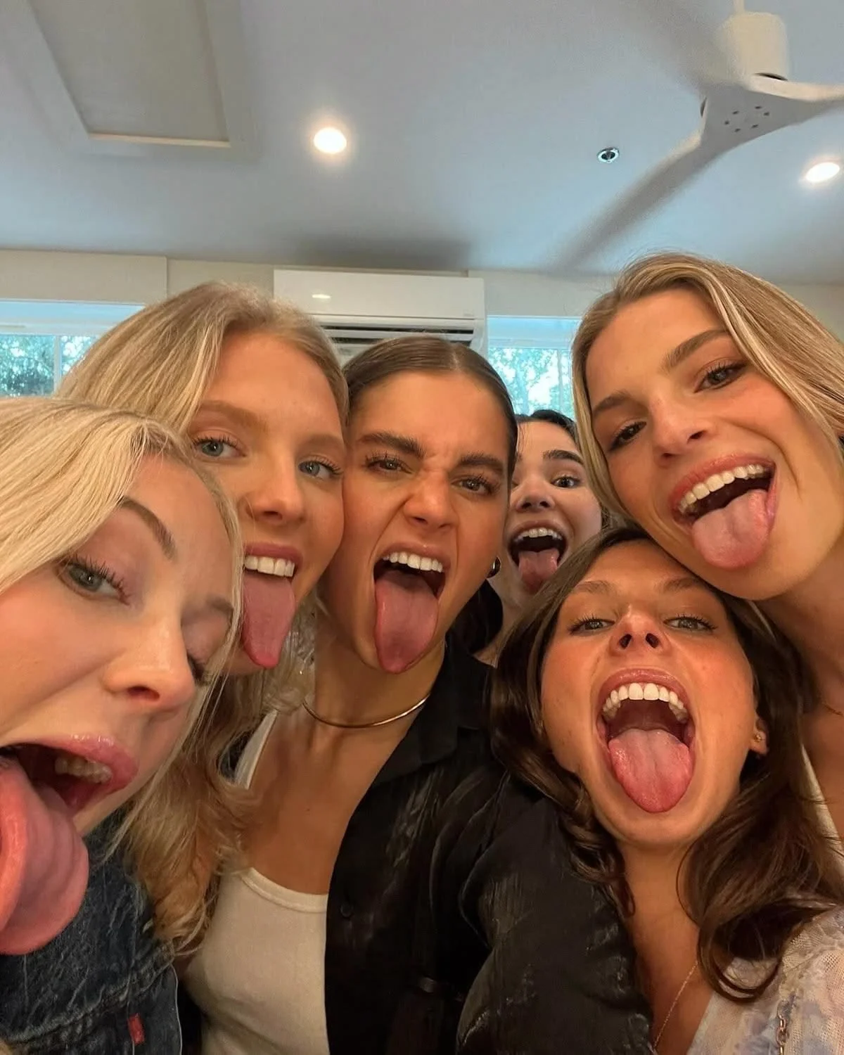 NOVINHAS image 45