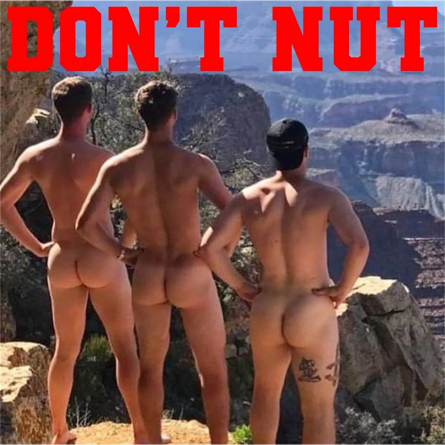 GAY GOONING 🌈🍆🍒🍑💦💭 image 5