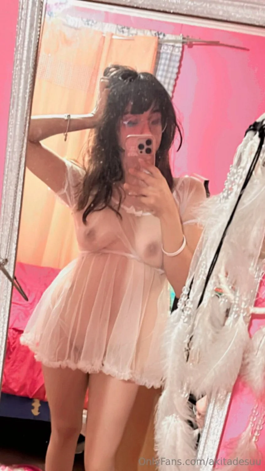 Akitadesuu image 3