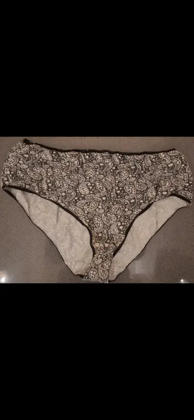 Stolen panties cover image