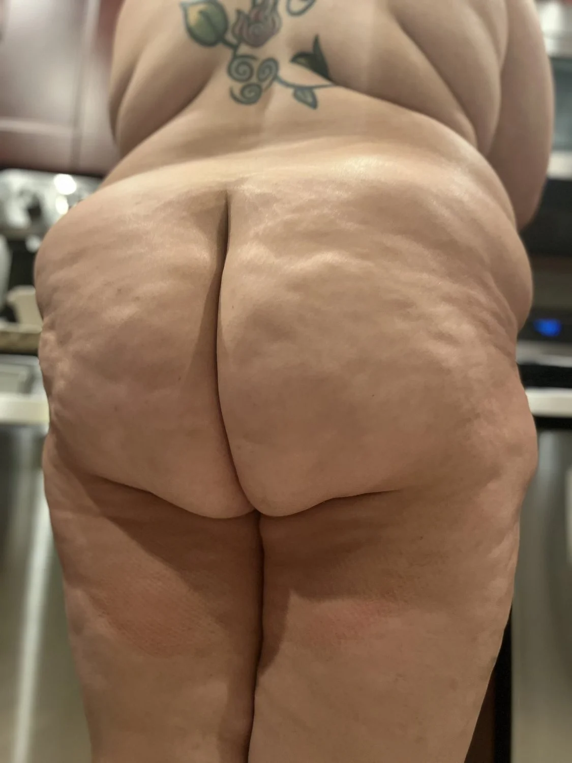 Chubby BBW Nudist Wife image 10